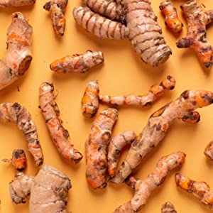 Multiple pieces of turmeric root scattered on an orange surface, highlighting a natural ingredient commonly believed to have biofilm disrupting properties.