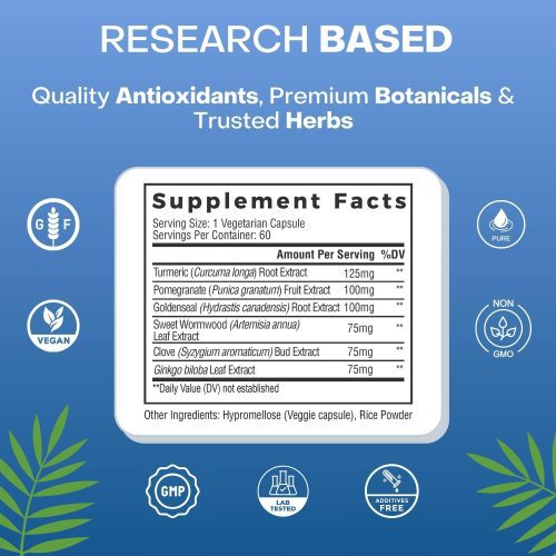 PalmaraHealthResearch BasedBiofilmSupplementDetails