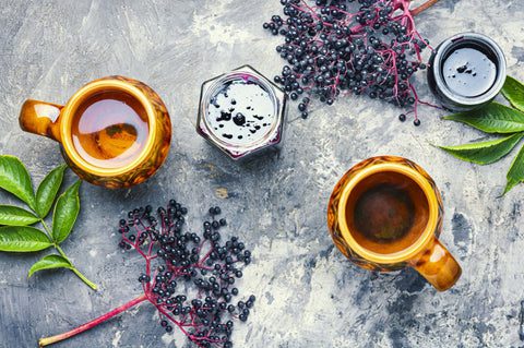 elderberry immune blog min