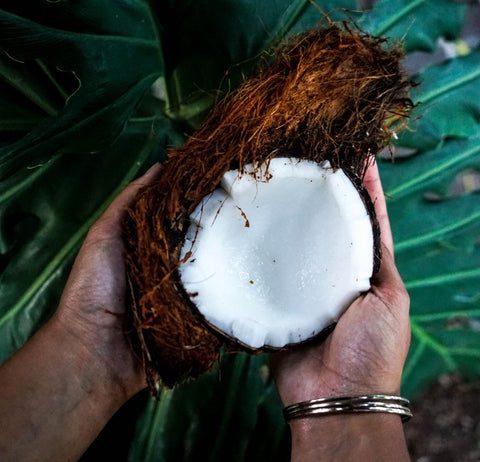 Hands holding a freshly opened coconut with visible white flesh, highlighting the natural source of monolaurin supplements.